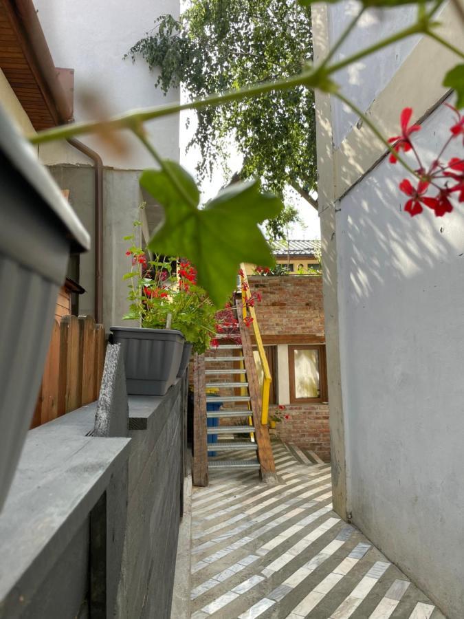 Apartament Art Cluj Exteriör bild